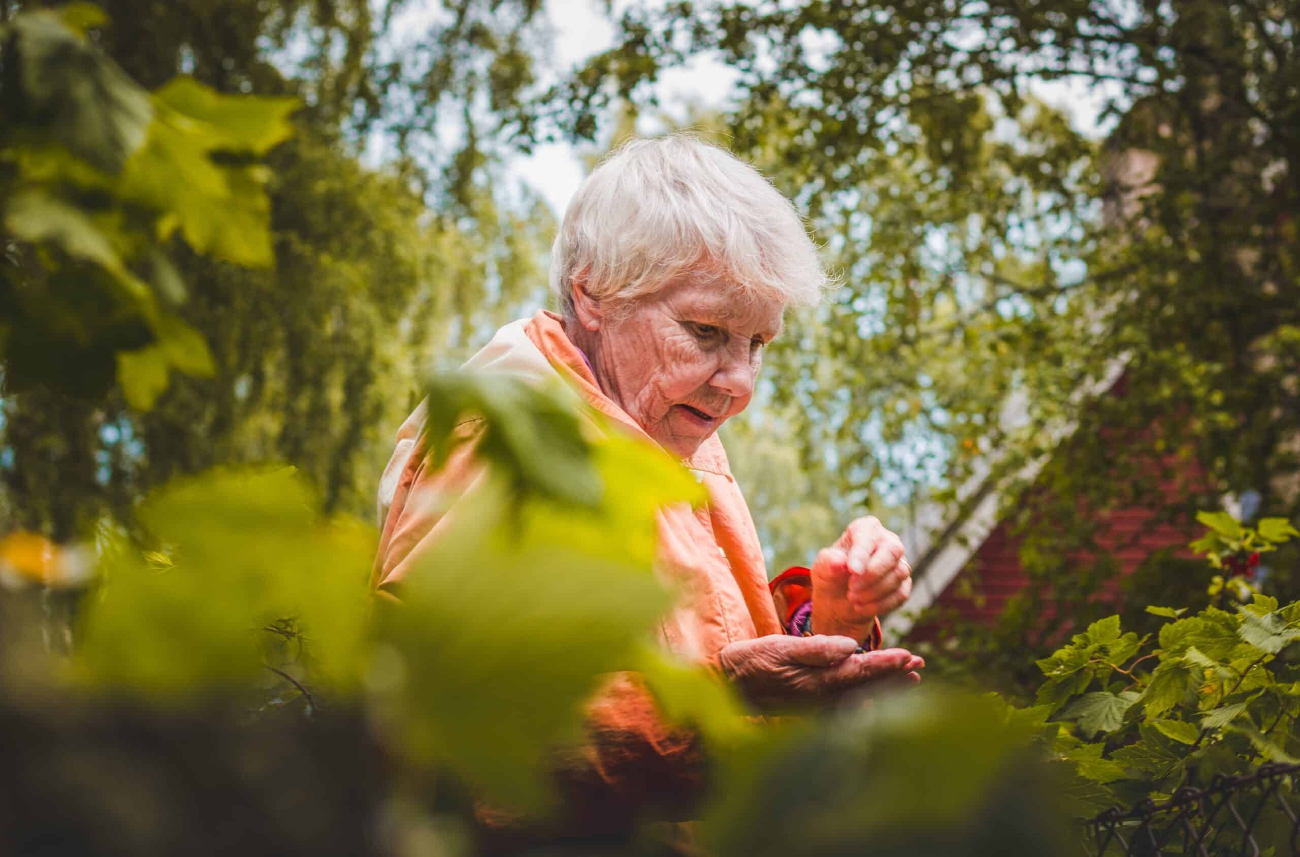 Elderly Woman Gardening Outside